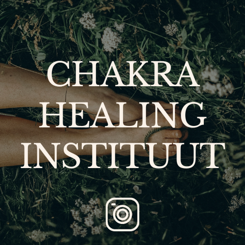 chakra_healing_instituut